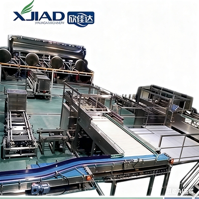 全自動(dòng)裝籠機(jī)